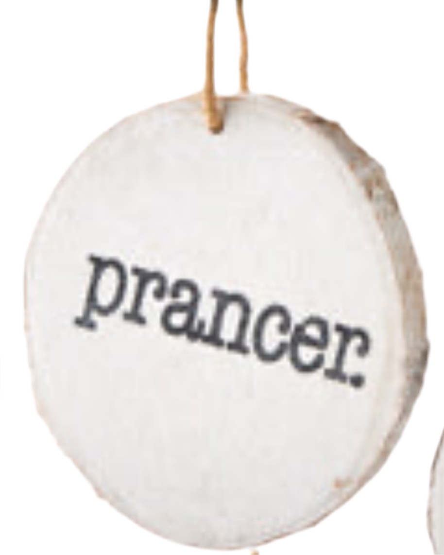 4" Santa's Reindeer Disc Ornament