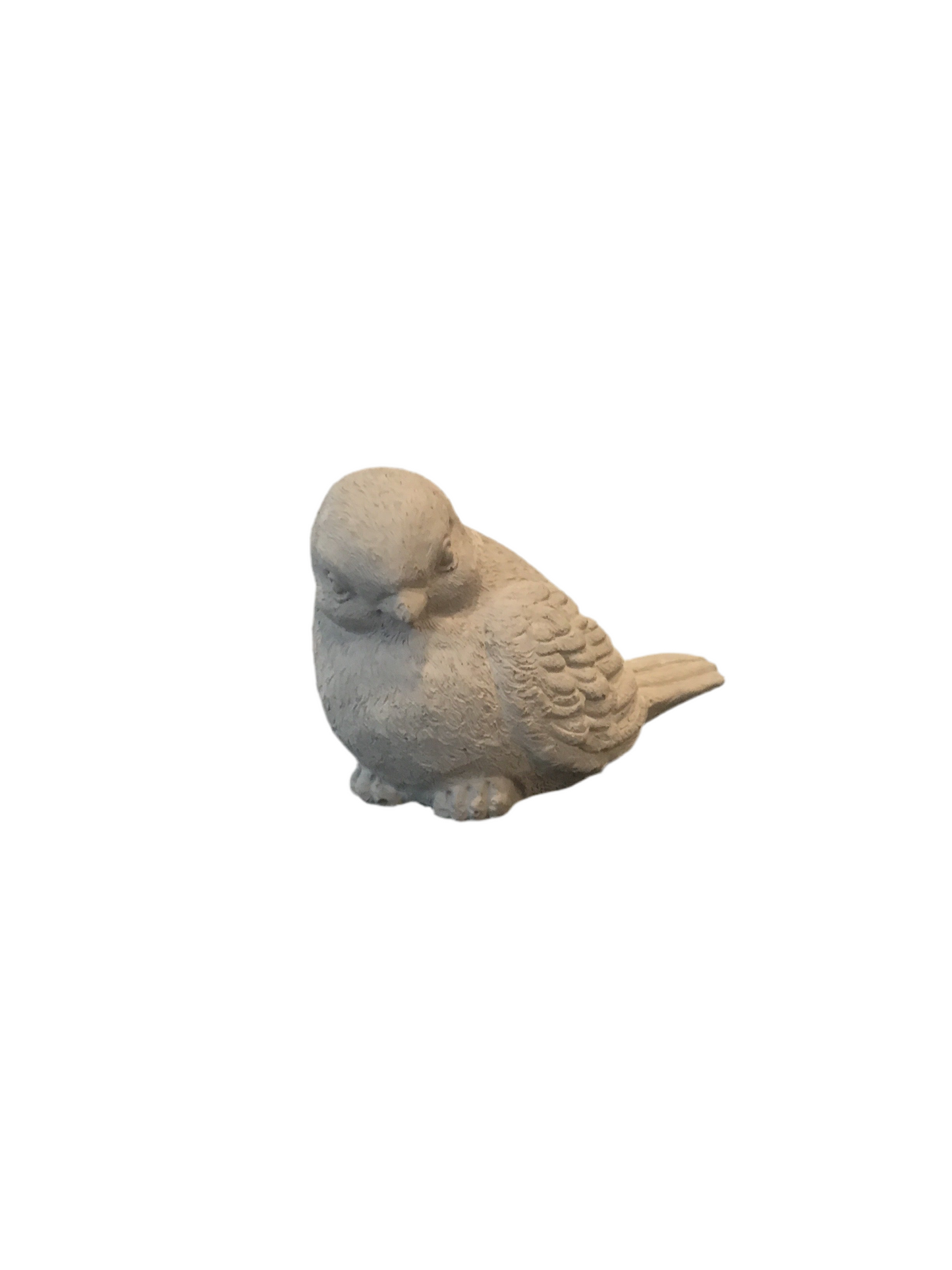 Cement Bird