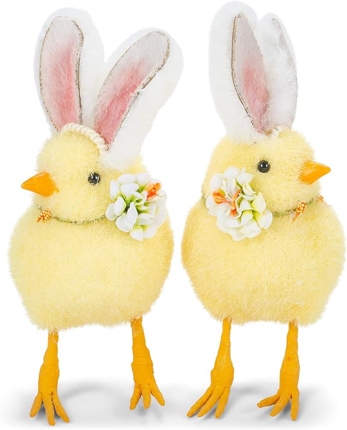 Bunny Chick