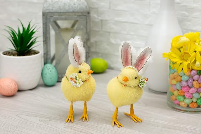 Bunny Chick