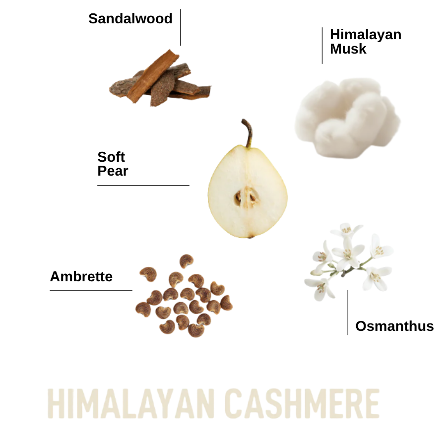 Laundry Sauce Fabric Refresher Himalayan Cashmere