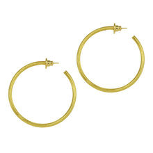 Load image into Gallery viewer, Paris Mid Size Hoop Earring
