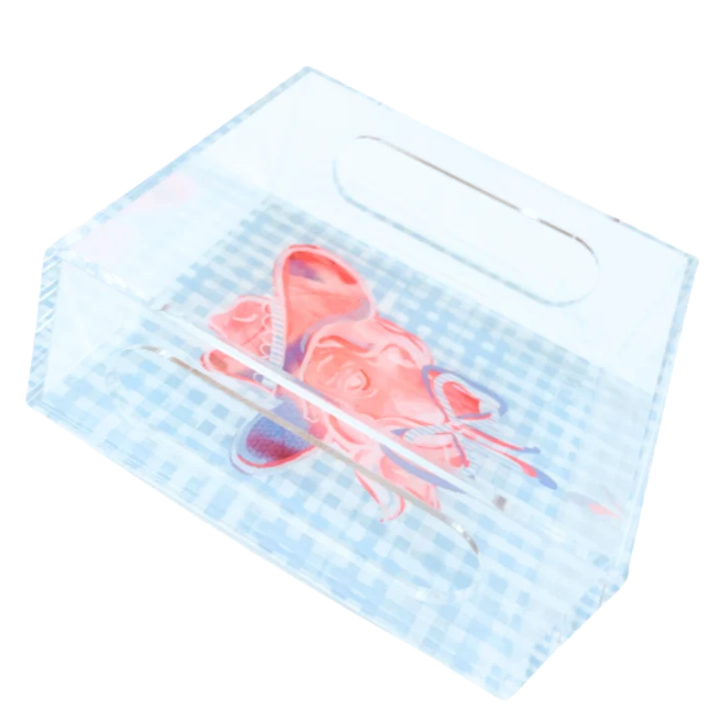 A clear acrylic storage box with a handle, containing pink and blue checkered fabric with white string, shown on a plain white background.
