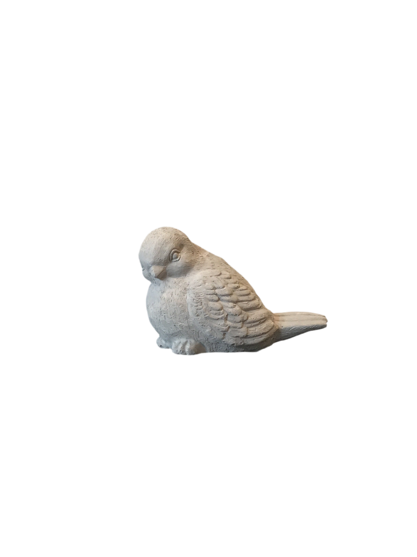 Cement Bird