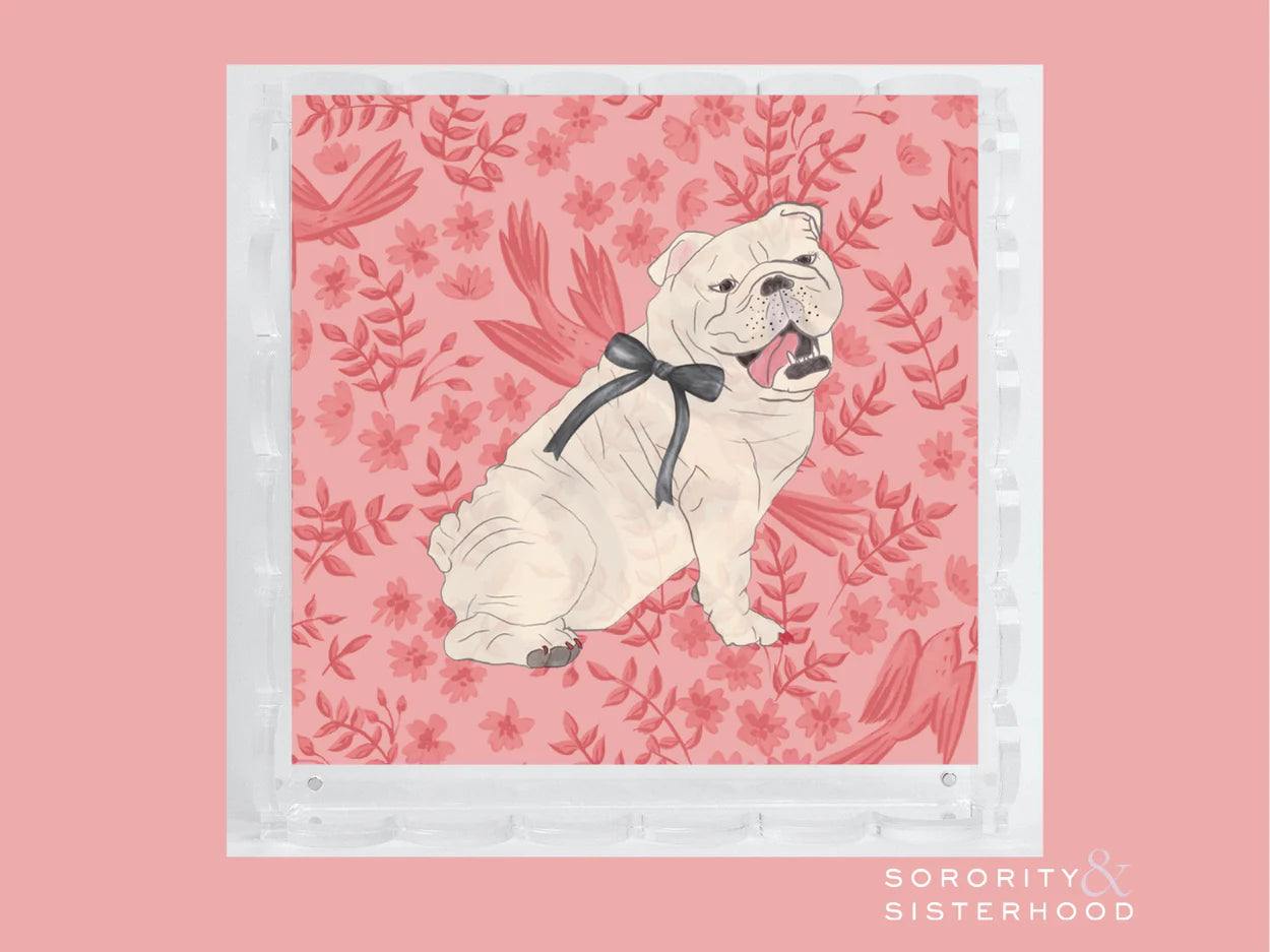 Bulldog Acrylic Scalloped Tray
