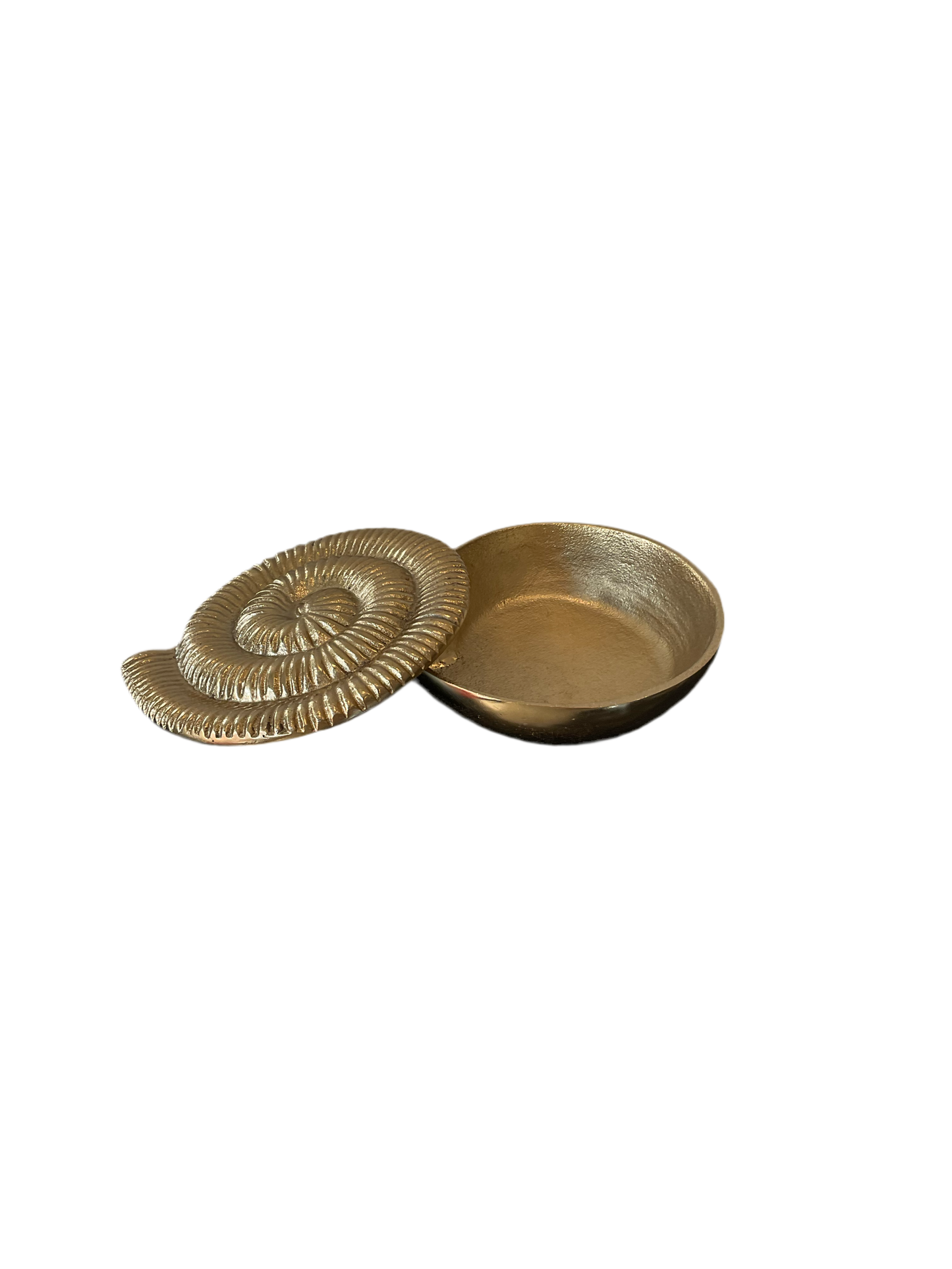 Shell Treasure Box