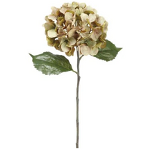 Load image into Gallery viewer, Green Hydrangea Stem 26.5"
