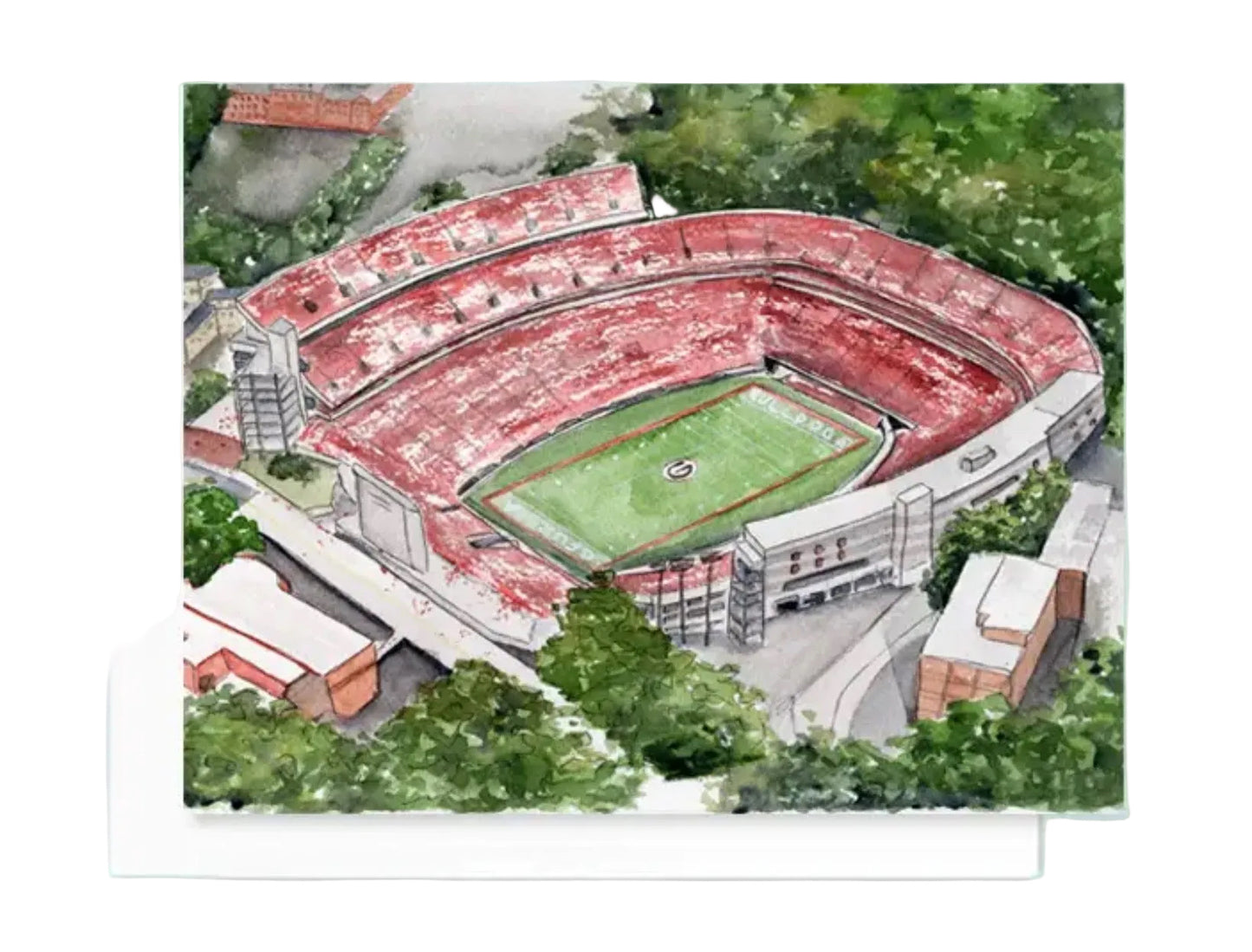 Georgia Stadium Greeting Card
