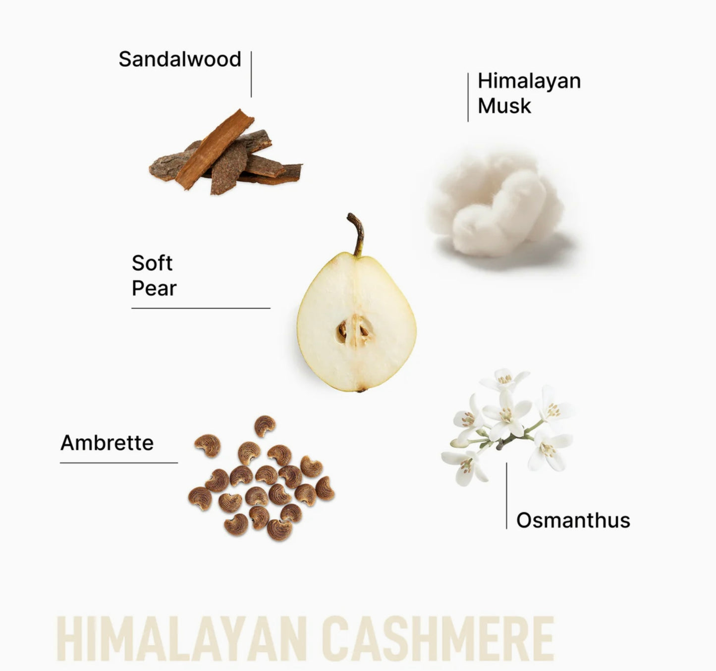 Laundry Sauce Laundry Detergent Pods Himalayan Cashmere