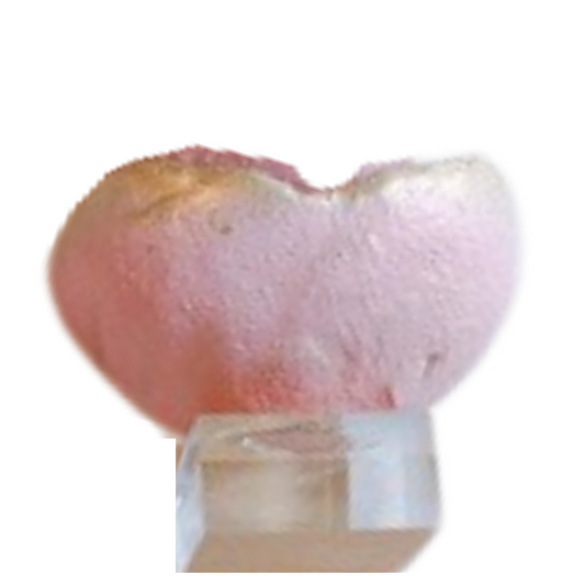 The Barbie | Cement Bowls