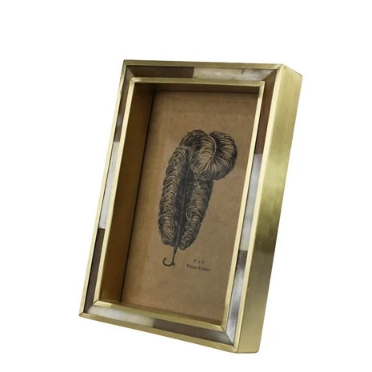 White Horn + Brass Frame