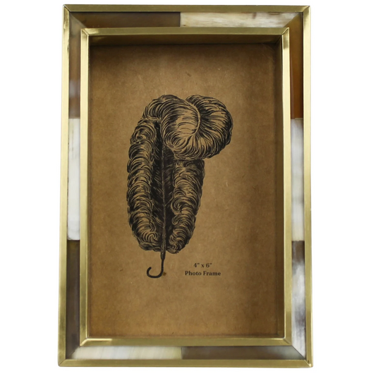 White Horn + Brass Frame