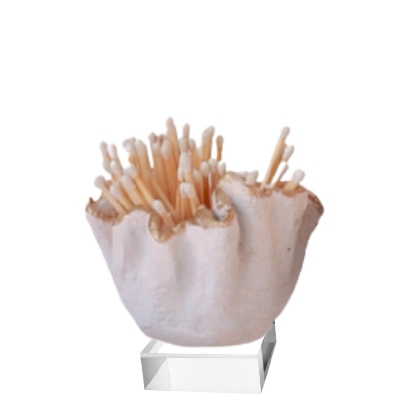 The Match Combo | Ruffle Cement Bowls