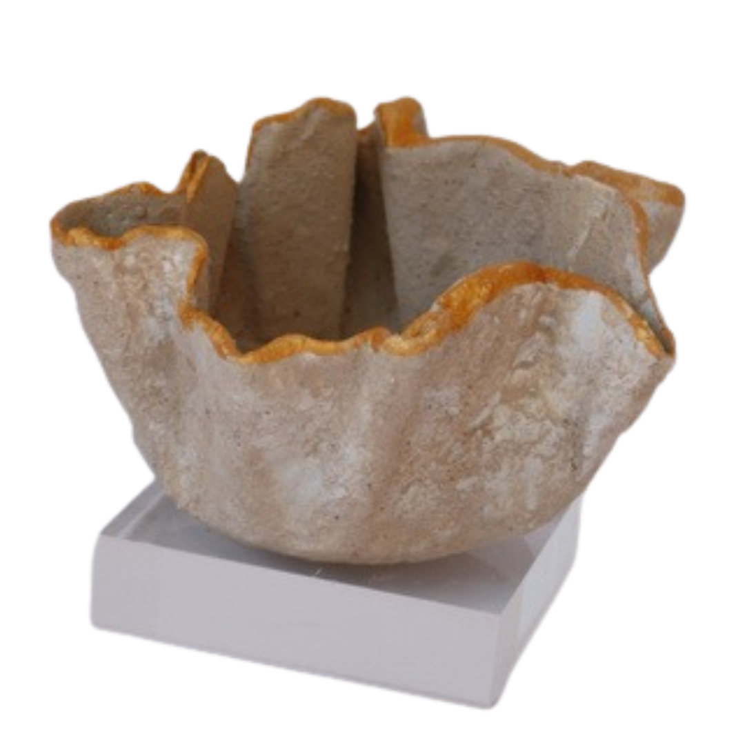 A natural beige and brown geode shell bowl with a golden-orange crystalline edge, displayed on a white rectangular pedestal against a white background.