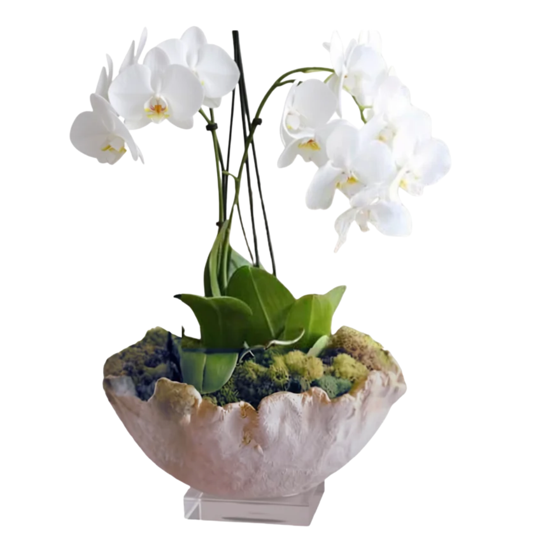 The Little Love | Ruffle Cement Bowls