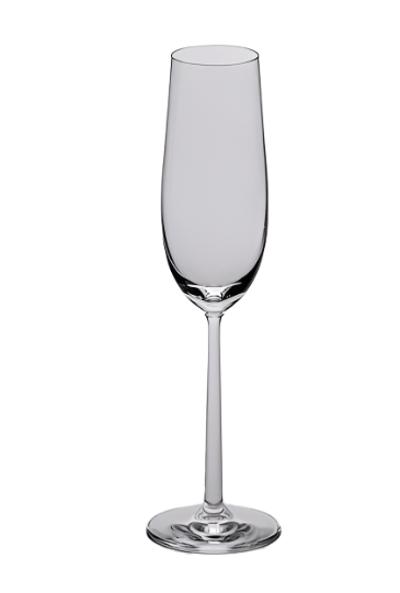 Titanium Champagne Glasses