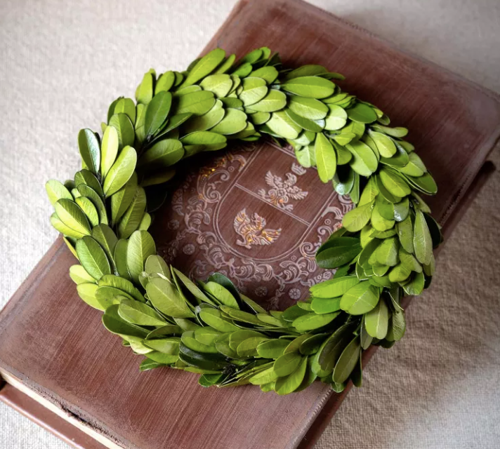 Mini Preserved Boxwood Wreath