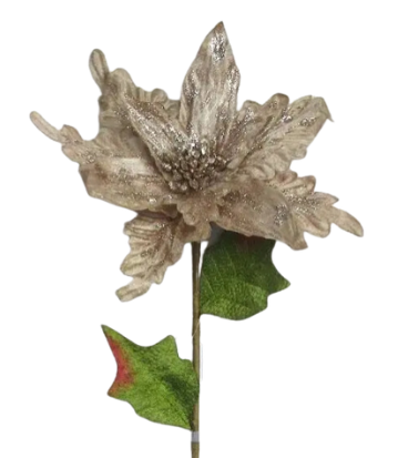 Poinsettia Stems