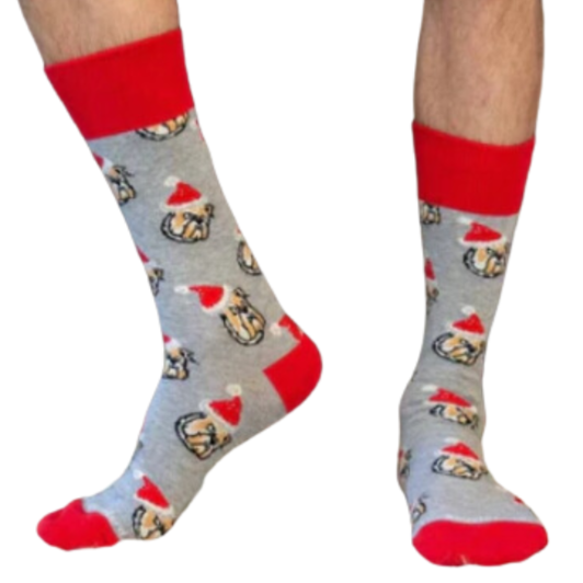 Bulldog Santa Socks