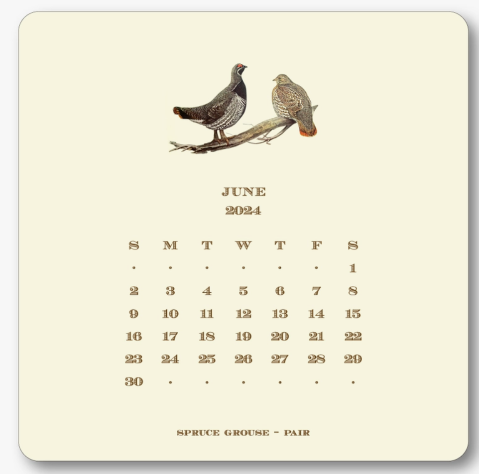 Upland Bird Calendar with Easel