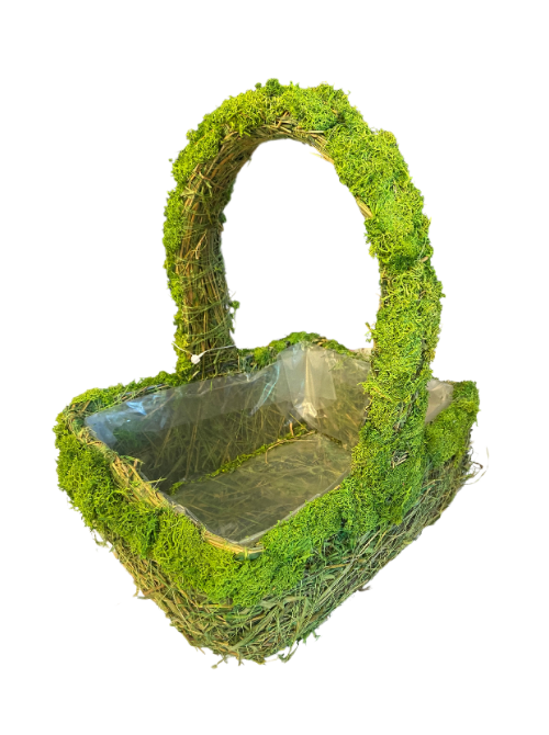 Green Moss Basket