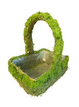 Load image into Gallery viewer, Green Moss Basket
