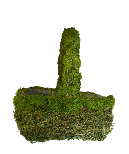 Green Moss Basket