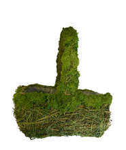 Load image into Gallery viewer, Green Moss Basket
