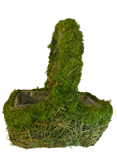 Green Moss Basket