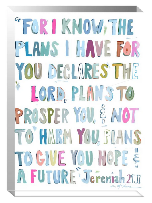 Acrylic Verse Jeremiah 29:11 in Pinks