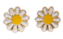 Small Stud Earrings