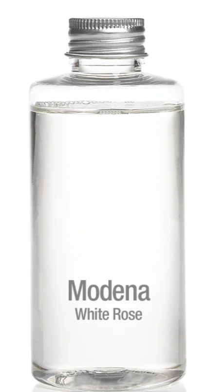 Zodax Modena White Rose Refill