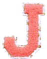 Letter Patches: Coral