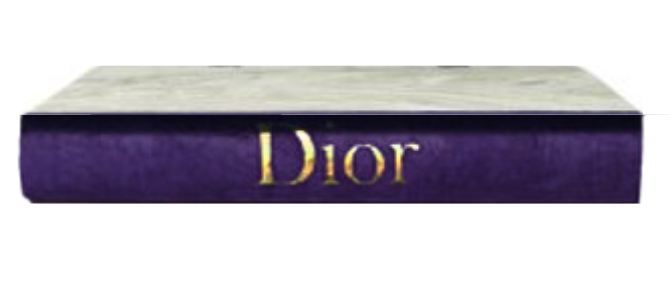 Decorative Books: Gold Lettering on Colorful Spine
