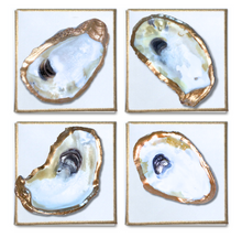 Load image into Gallery viewer, Gold Gilded Oyster on Canvas
