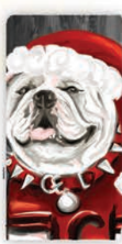 Bulldog Santa Paws Tea Towel