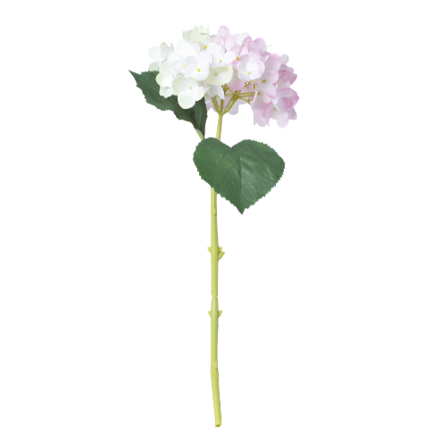 Garden Hydrangea Stem, Pink