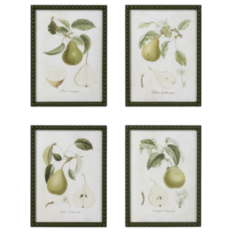 Vintage Orchard Framed Pear Wall Art