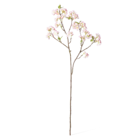 Cherry Blossom Branch