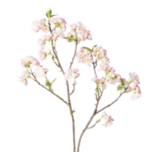 Load image into Gallery viewer, Cherry Blossom Branch
