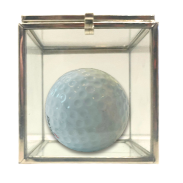 Golf Ball Safe
