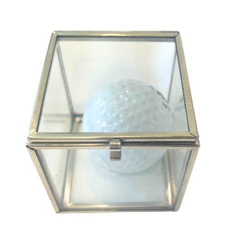 Golf Ball Safe