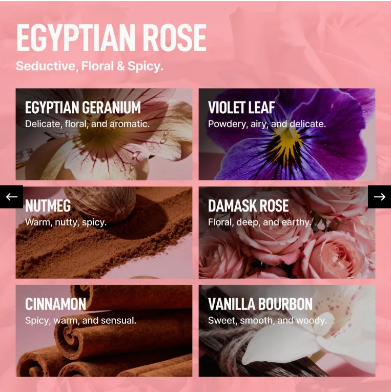 A pink promotional graphic for a fragrance or flavor category titled 'EGYPTIAN ROSE,' with six square scent tiles showing floral and spice imagery and text labels: Egyptian Geranium, Violet Leaf, Nutmeg, Damask Rose, Cinnamon, and Vanilla Bourbon.