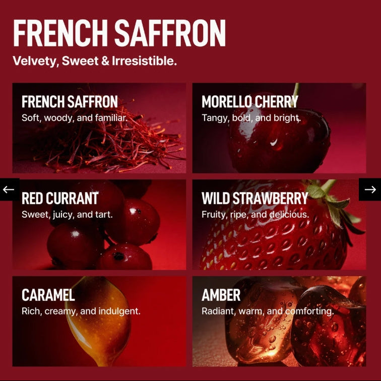 Laundry Sauce Performance Fabric Softener French Saffron