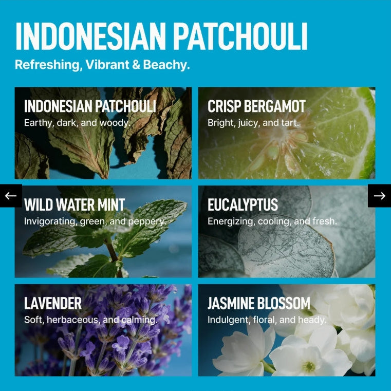 Laundry Sauce Performance Fabric Softener Indonesian Patchouli