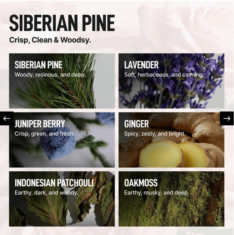 Laundry Sauce Performance Fabric Softener Siberian Pine