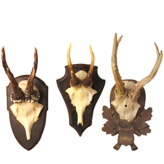 Reproduction Antler Trophy