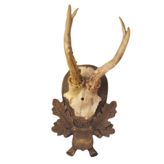 Reproduction Antler Trophy