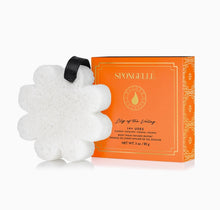 Load image into Gallery viewer, Spongellé Lily of the Valley Boxed Flower
