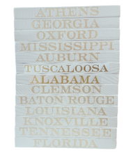 Load image into Gallery viewer, Decorative Book: Gold Foil Collegiate Towns + States
